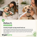TryAnterra DentaWave™ – Ultrasonic Dog Plaque & Tartar Cleaning Kit
